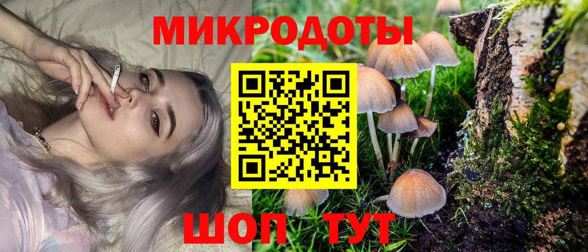 Псилоцибиновые грибы мицелий  Псилоцибиновые грибы Magic Shrooms  Петропавловск-Камчатский  Вход с VPN 