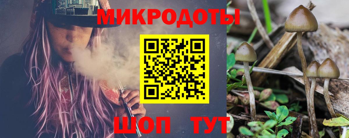 Псилоцибиновые грибы Psilocybe Петропавловск-Камчатский